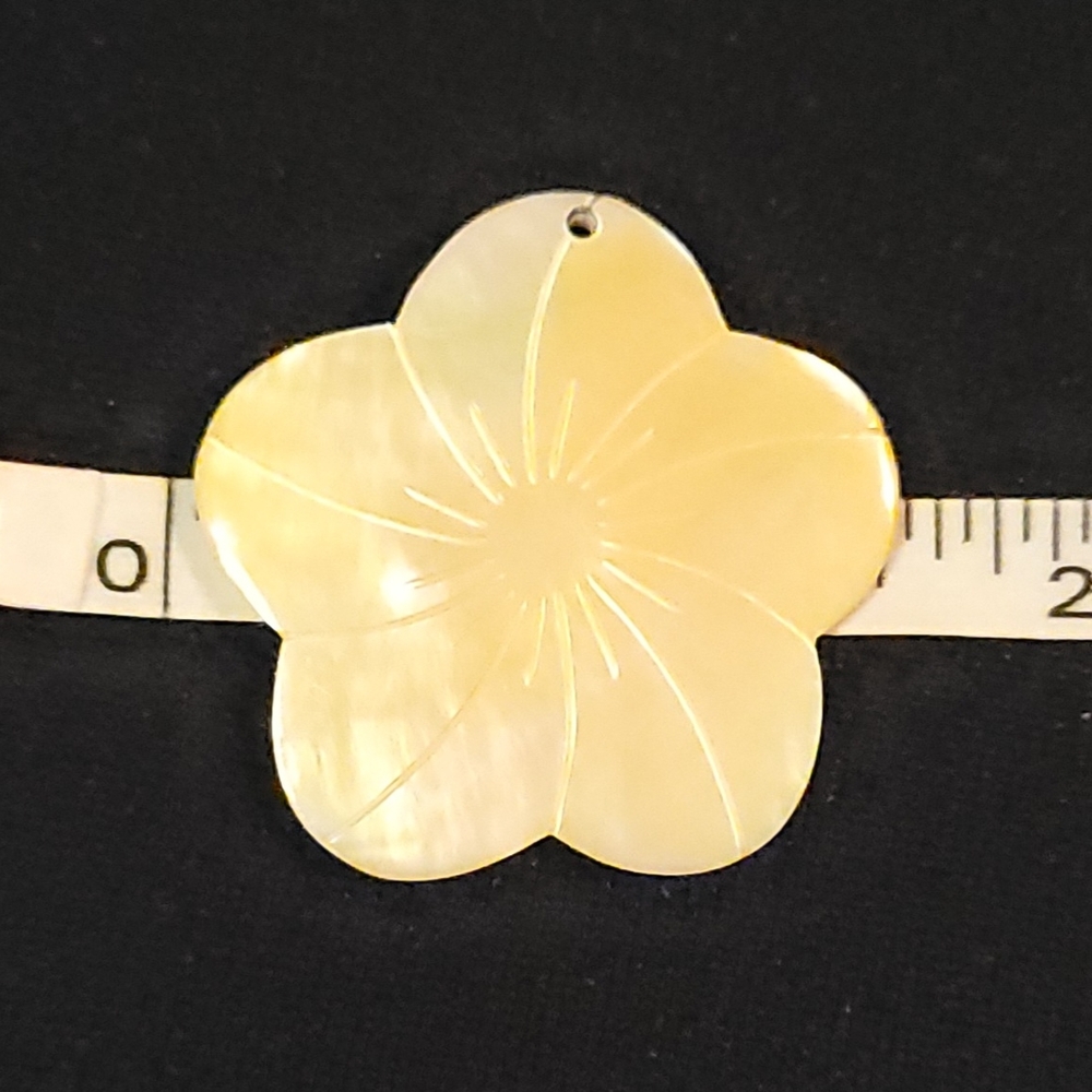 Stone And Shell Beads/Pendant